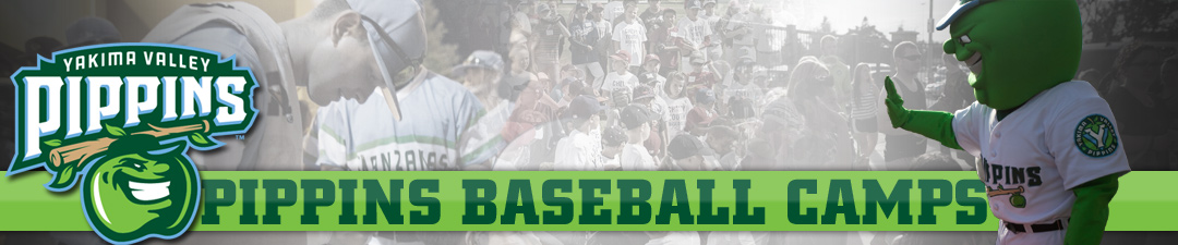 Pippins Baseball Camps